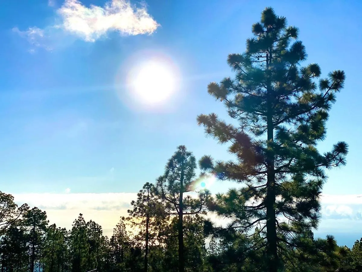 Refugio Meditacion Y Naturaleza Arico 西班牙